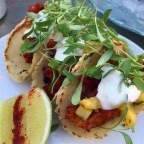 Gluten-free chicken tacos from Cantina Rooftop